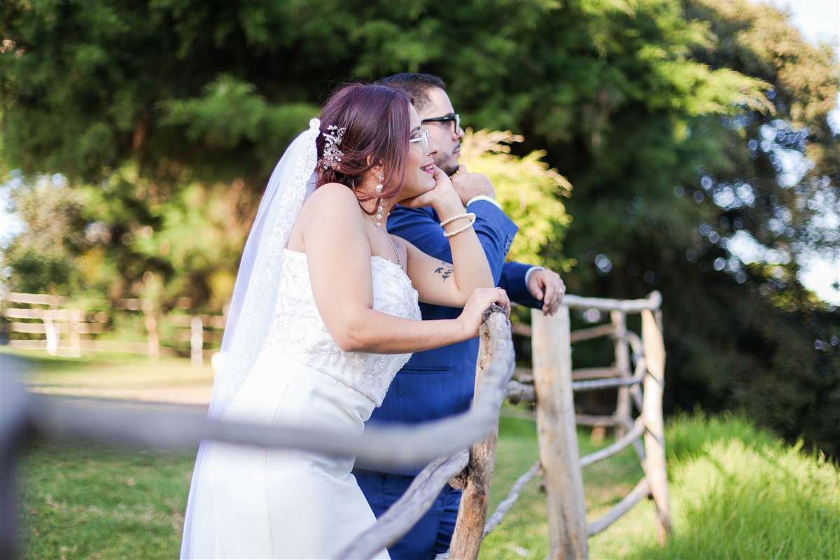 bodas